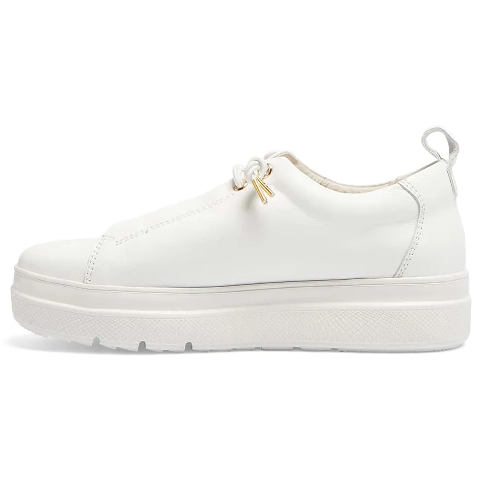 Bison Sneaker in White Leather