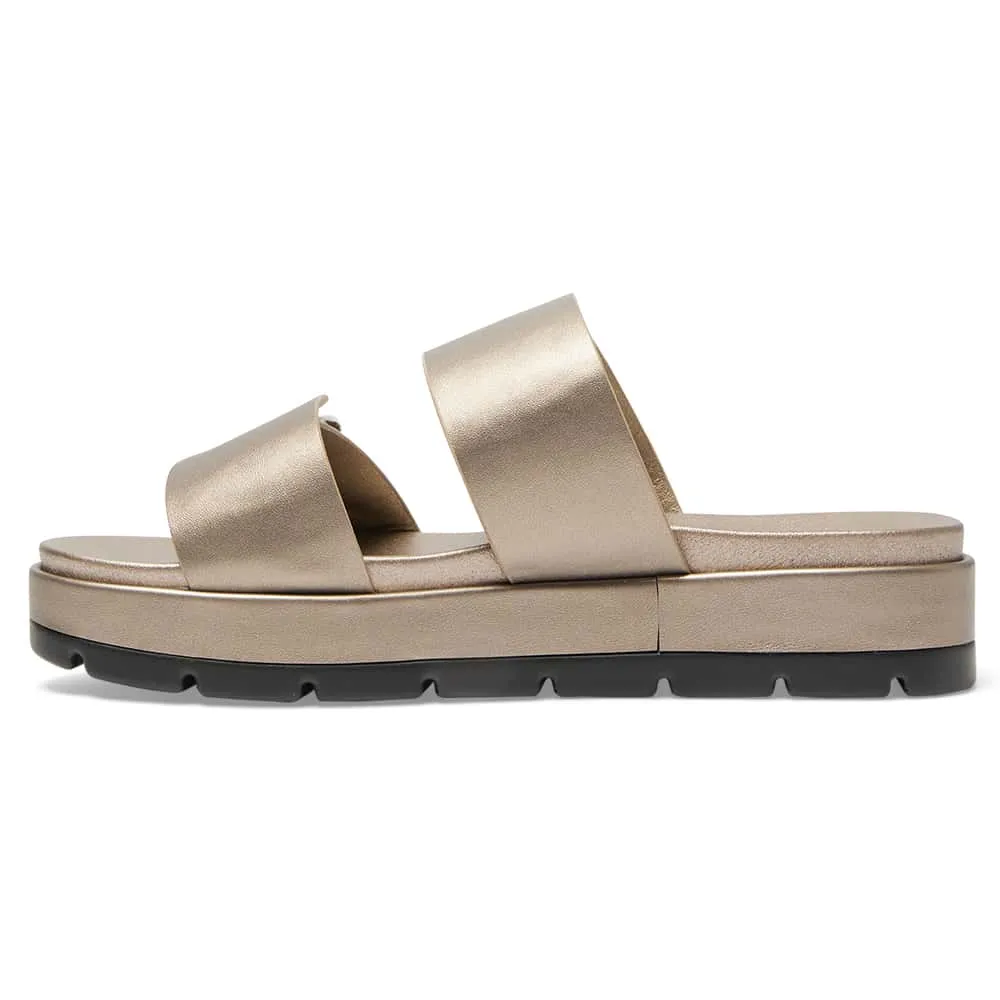 Fiction Slide in Pewter Smooth