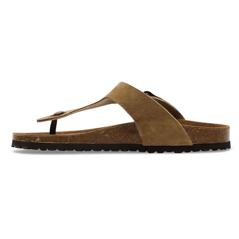 Fresno Sandal in Taupe Suede