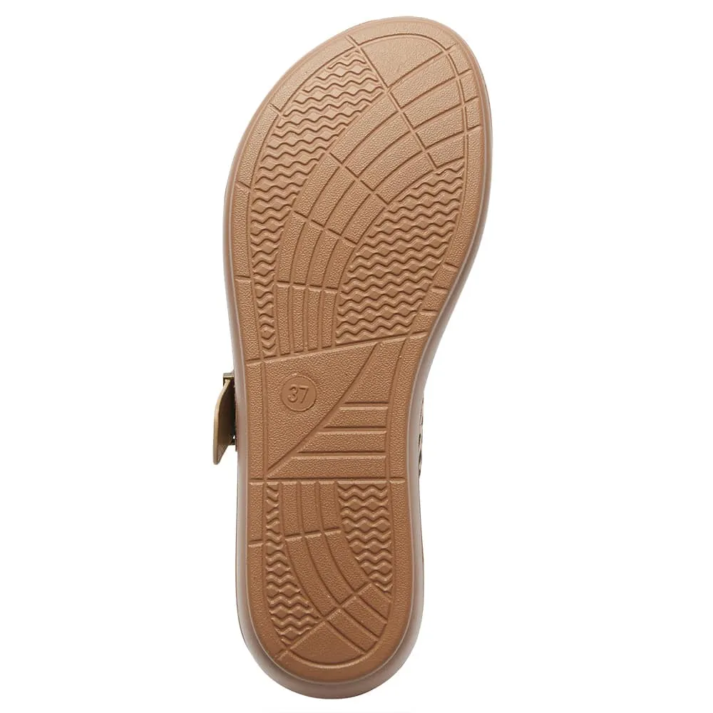 Geneva Slide in Animal