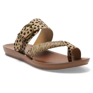 Geneva Slide in Animal