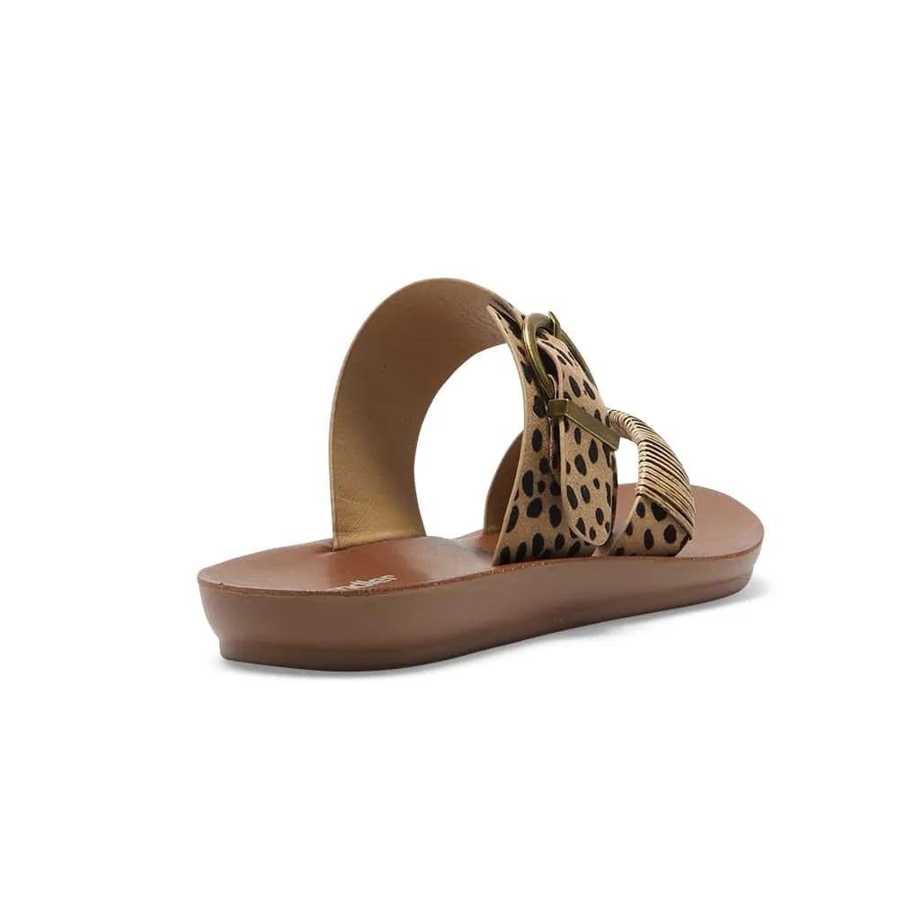 Geneva Slide in Animal