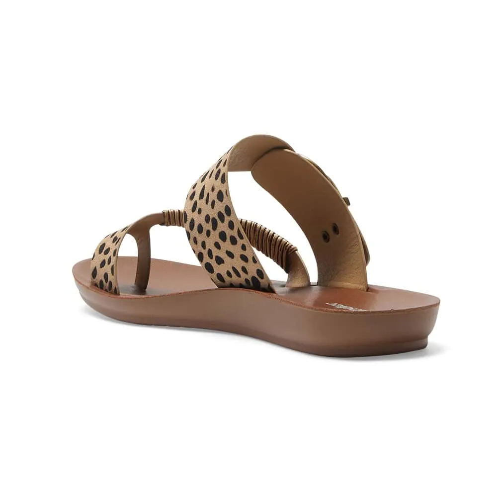 Geneva Slide in Animal