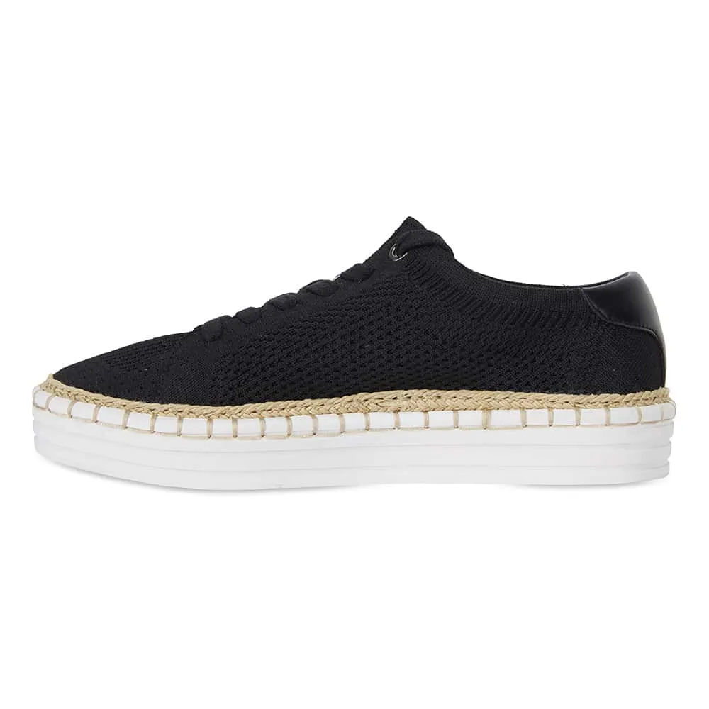 Herald Sneaker in Black Fabric