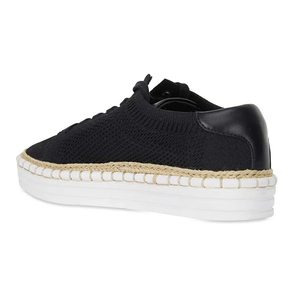 Herald Sneaker in Black Fabric
