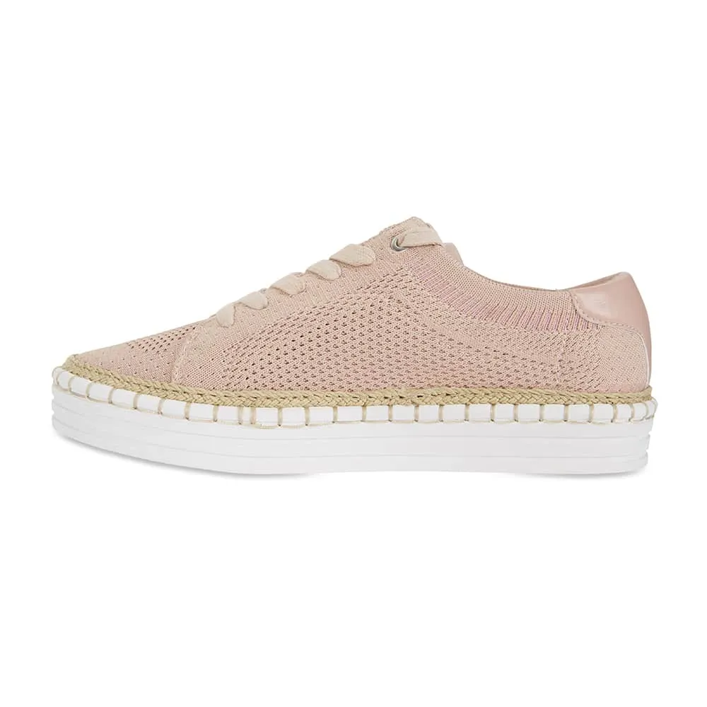 Herald Sneaker in Blush Fabric