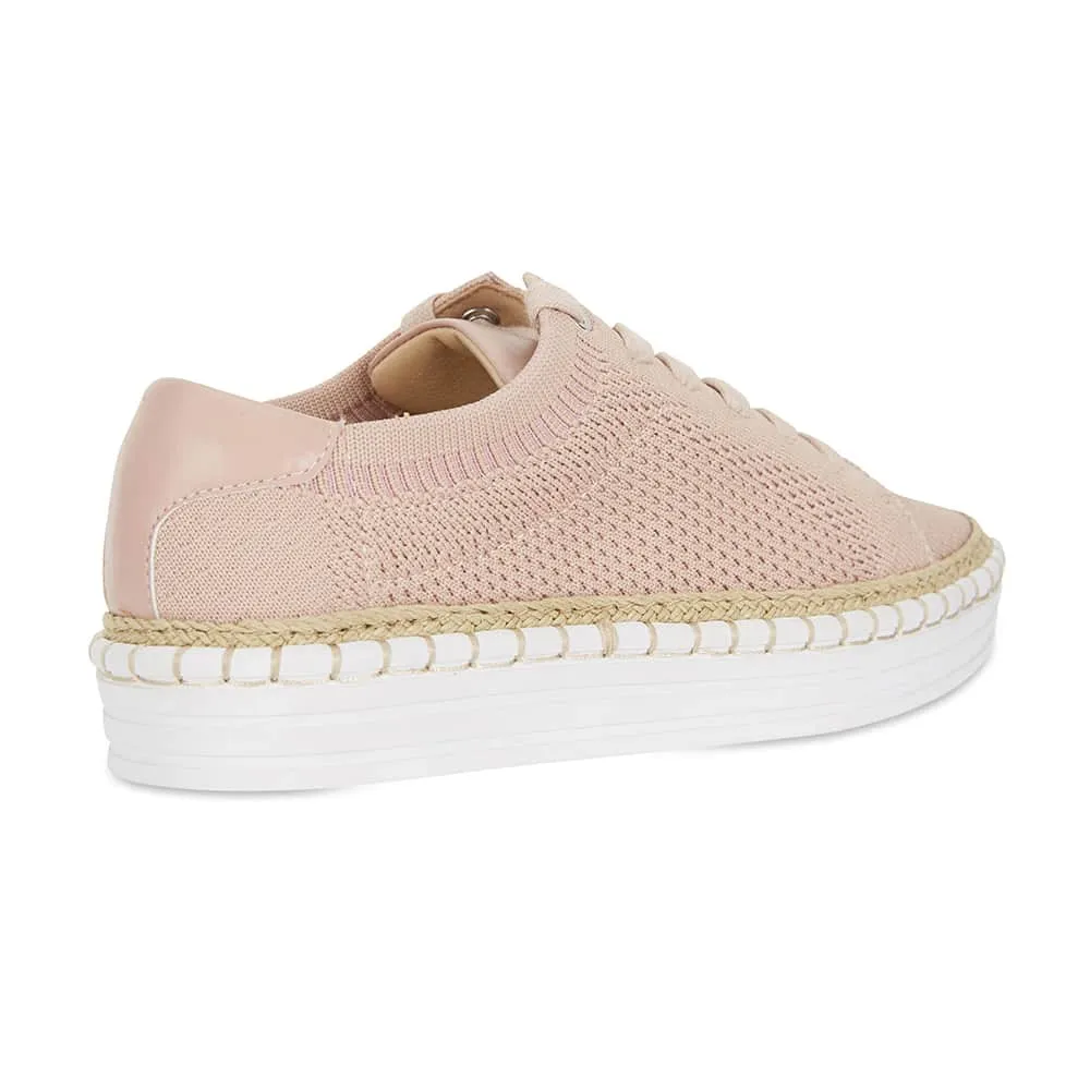 Herald Sneaker in Blush Fabric