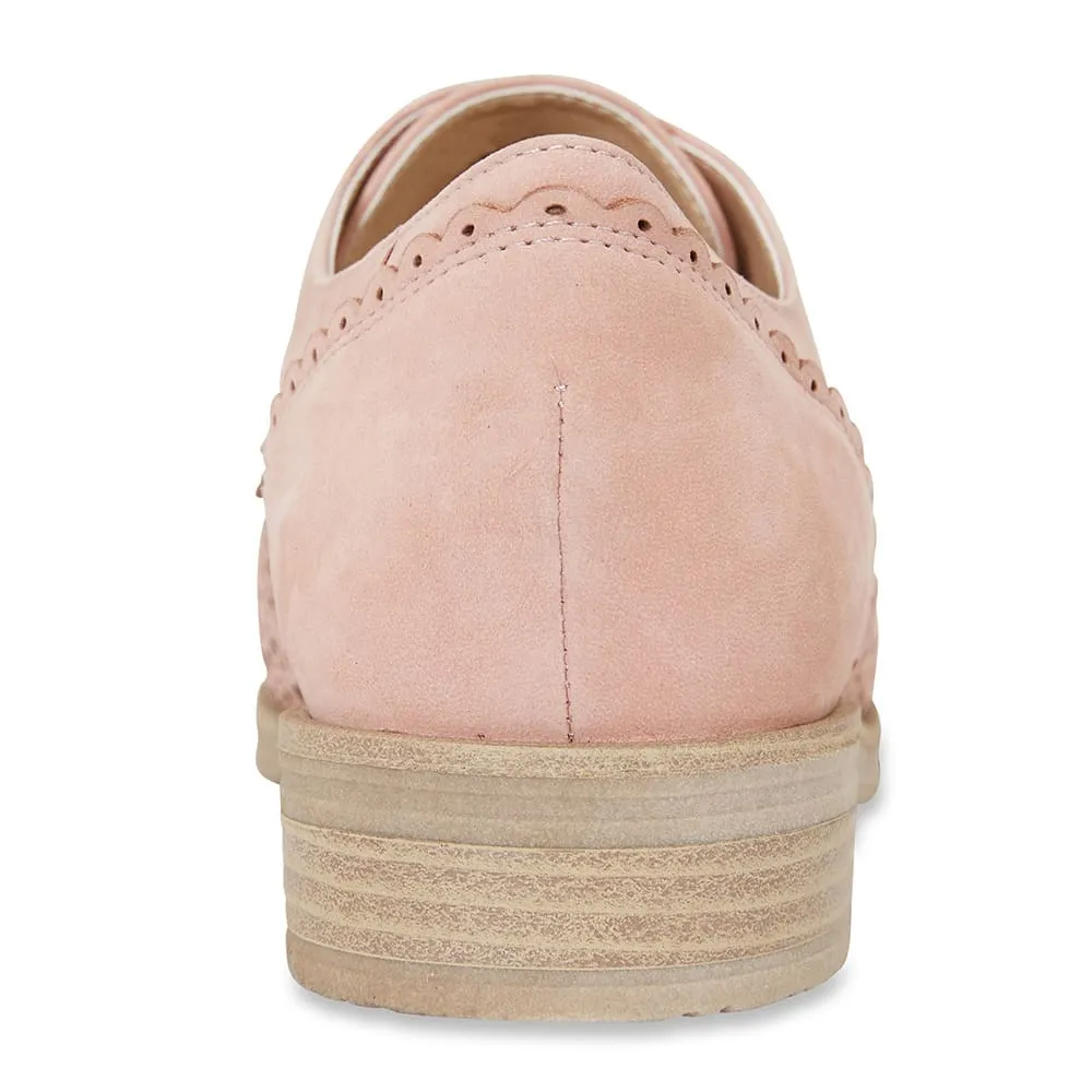 Nero Brogue in Pale Pink Nubuck
