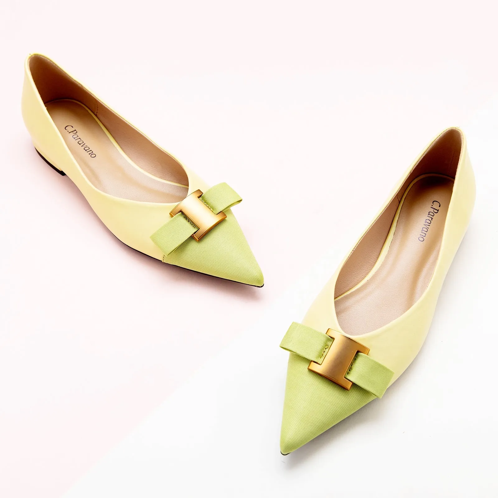 Pointed Toe Metal Tie Flats (Aida)SALE