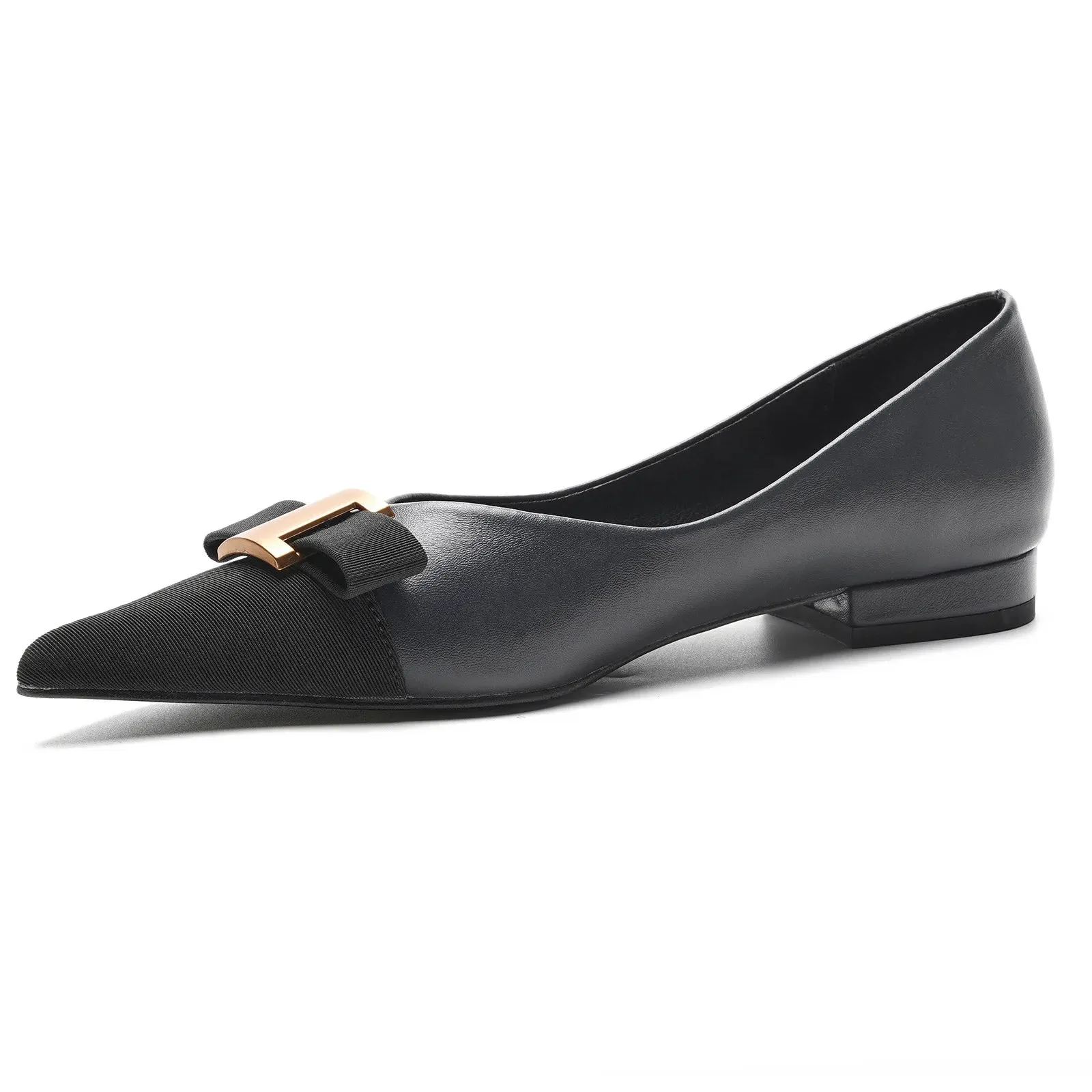 Pointed Toe Metal Tie Flats (Aida)SALE