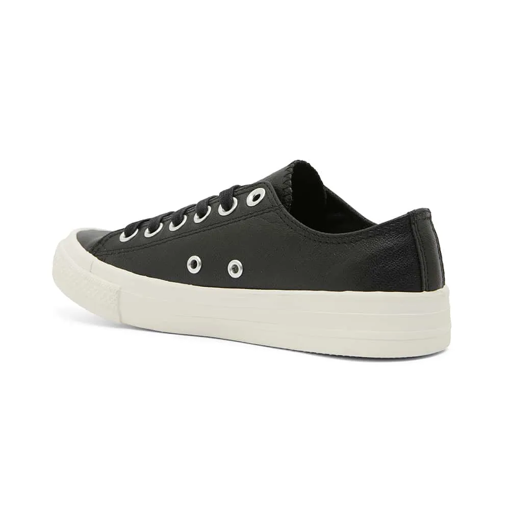 Sheldon Sneaker in Black Leather