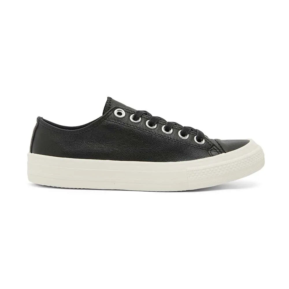 Sheldon Sneaker in Black Leather