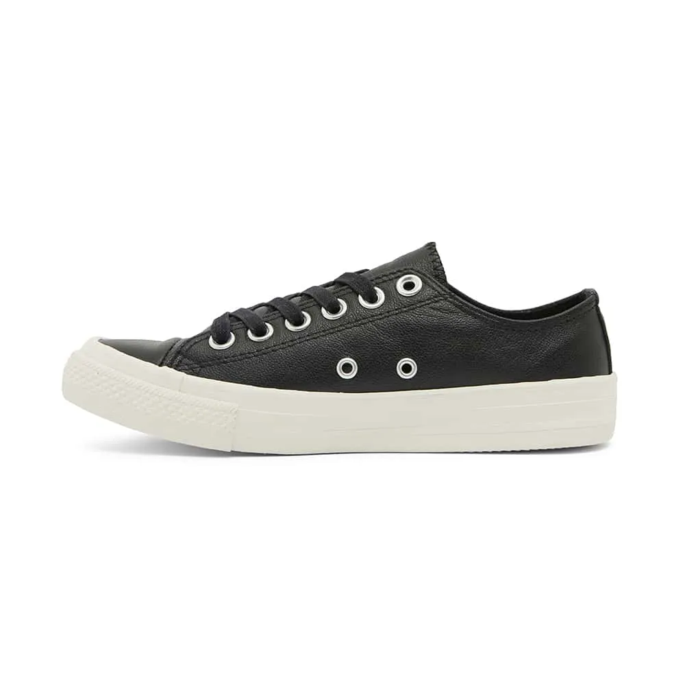 Sheldon Sneaker in Black Leather