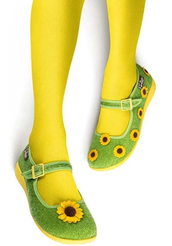 Sunny Field | FLATS*