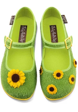 Sunny Field | FLATS*