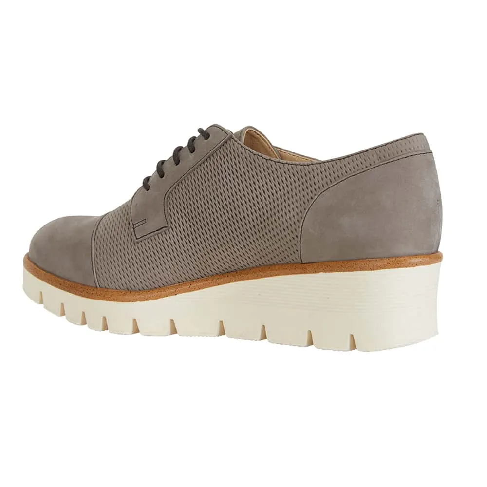 Vega Brogue in Taupe Nubuck