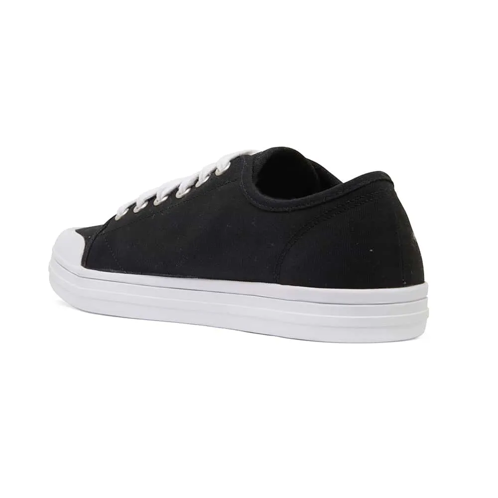 Ventura Sneaker in Black Canvas